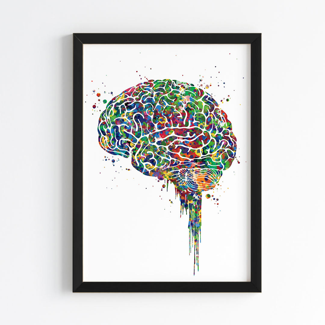 Brain Anatomy Watercolor Wall Art (Framed)
