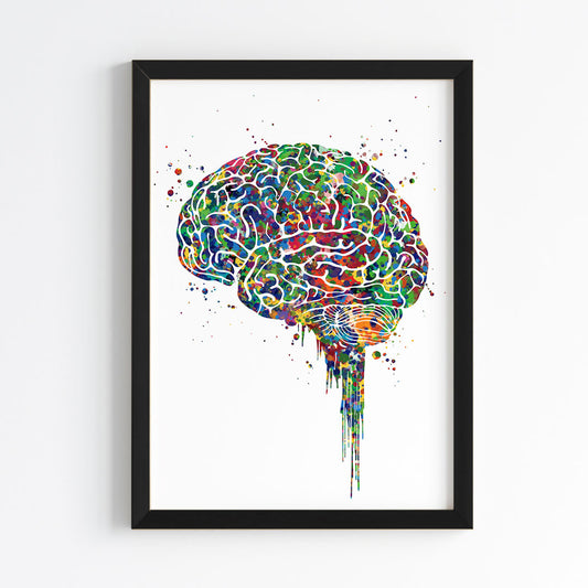Brain Anatomy Watercolor Wall Art (Framed)
