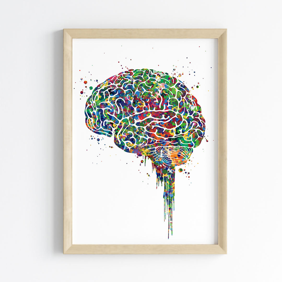 Brain Anatomy Watercolor Wall Art (Framed)
