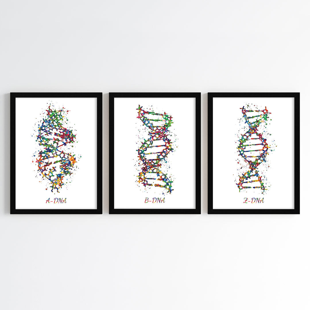 DNA Structures Watercolor Wall Art (Framed Set of 3)