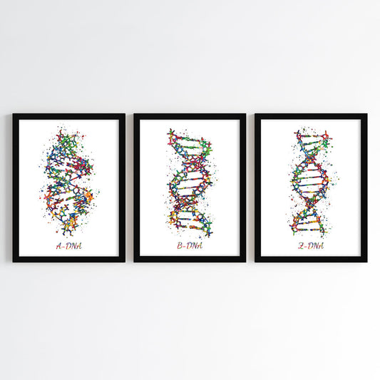 DNA Structures Watercolor Wall Art (Framed Set of 3)