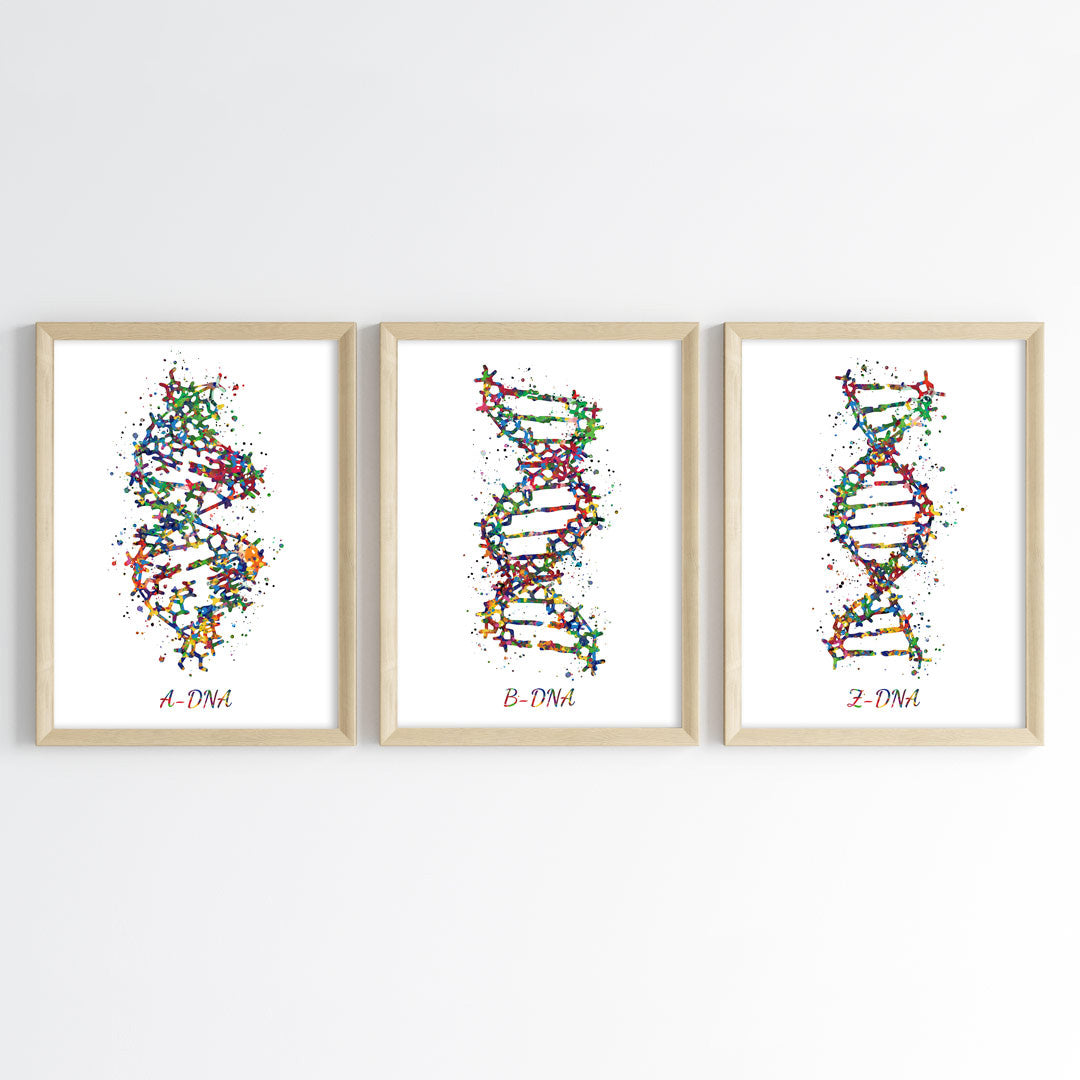 DNA Structures Watercolor Wall Art (Framed Set of 3)