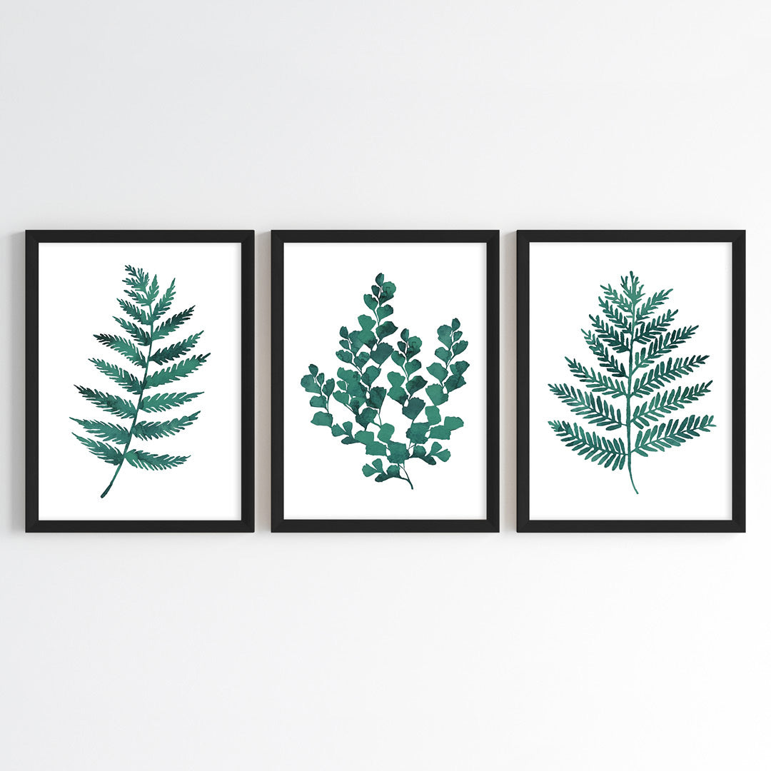 Fern Essence Wall Art (Framed Set of 3)