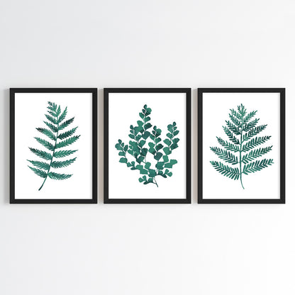 Fern Essence Wall Art (Framed Set of 3)