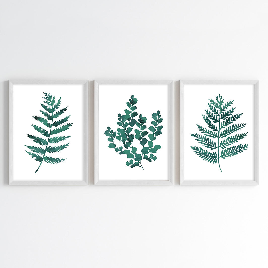 Fern Essence Wall Art (Framed Set of 3)