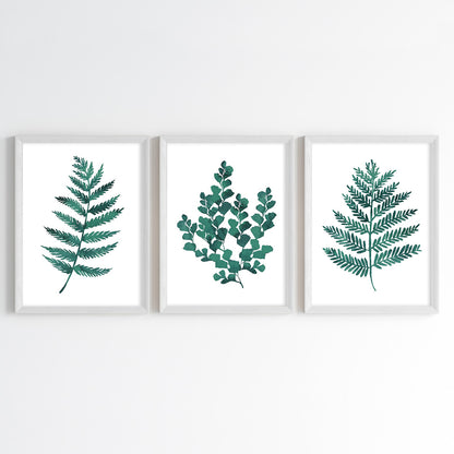 Fern Essence Wall Art (Framed Set of 3)