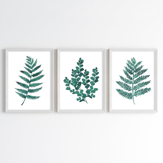 Fern Essence Wall Art (Framed Set of 3)
