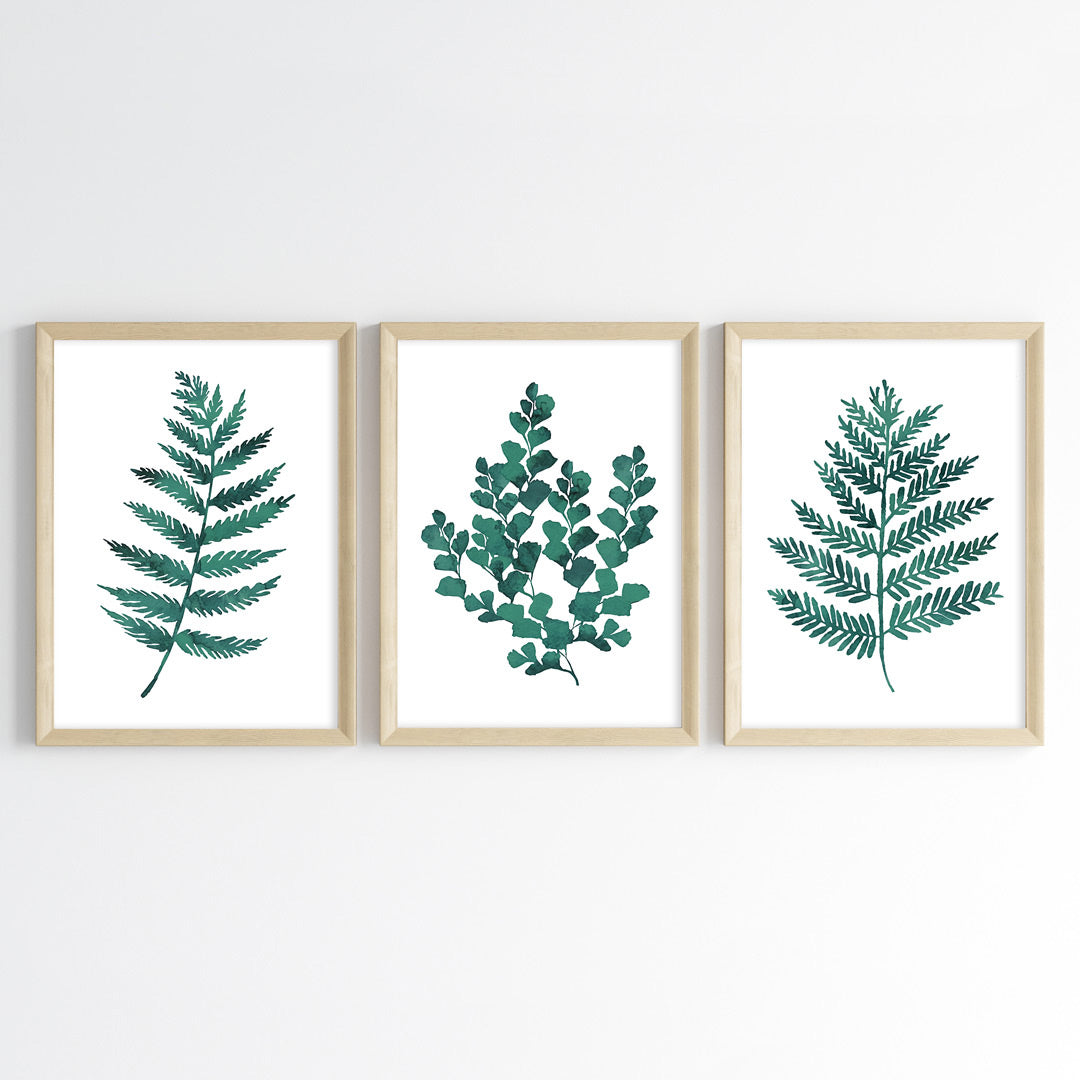 Fern Essence Wall Art (Framed Set of 3)