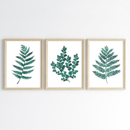 Fern Essence Wall Art (Framed Set of 3)