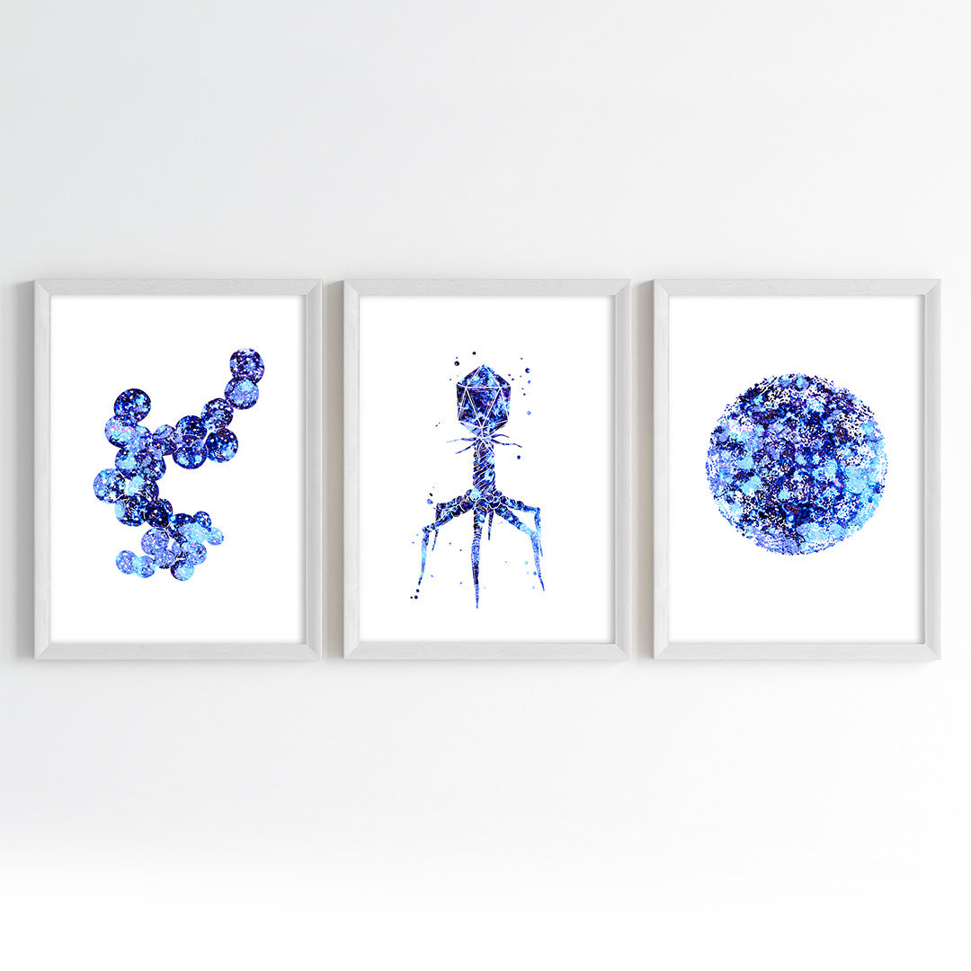 Microorganism Watercolor Science Wall Art