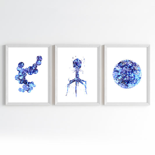 Microorganism Watercolor Science Wall Art