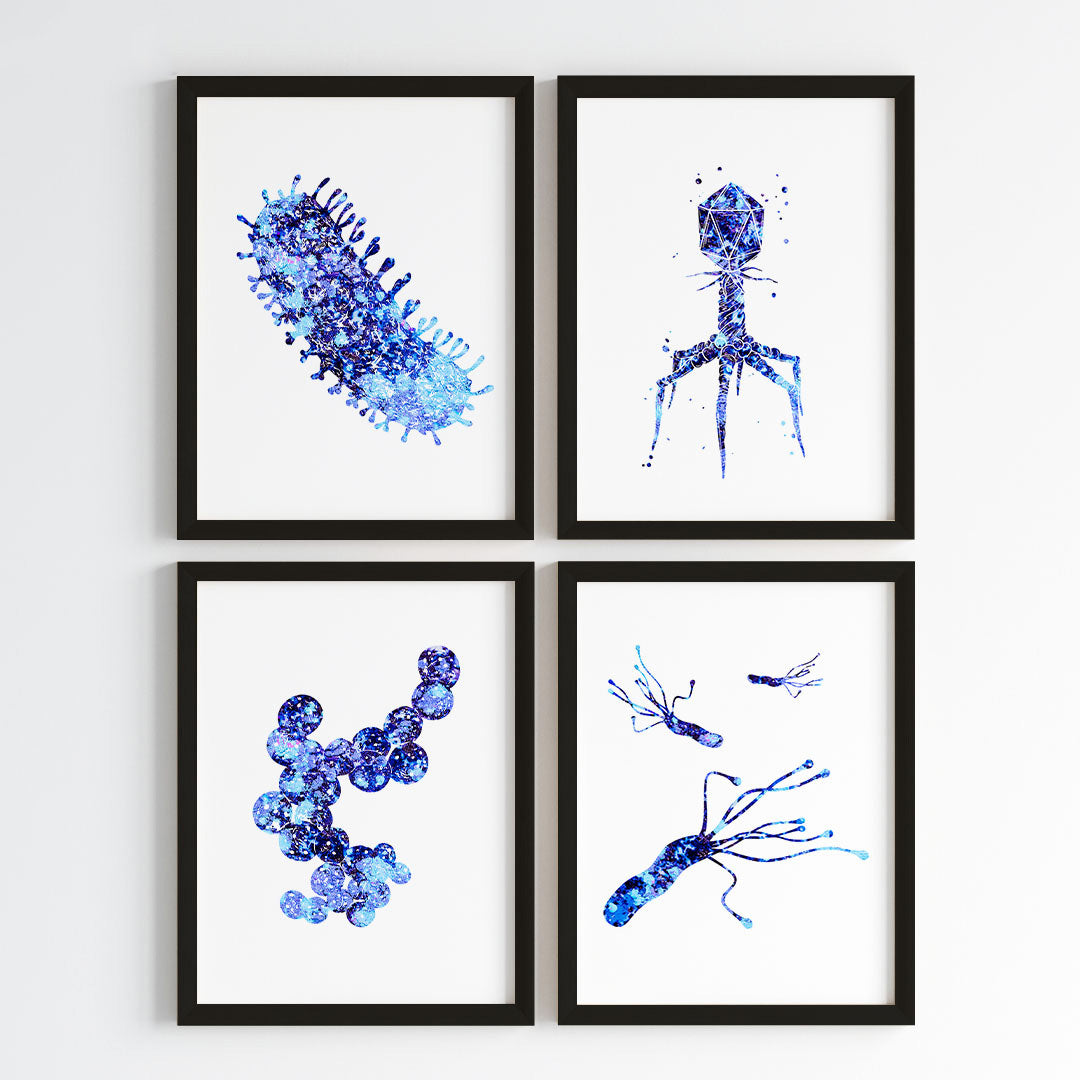 Microorganism Watercolor Science Wall Art
