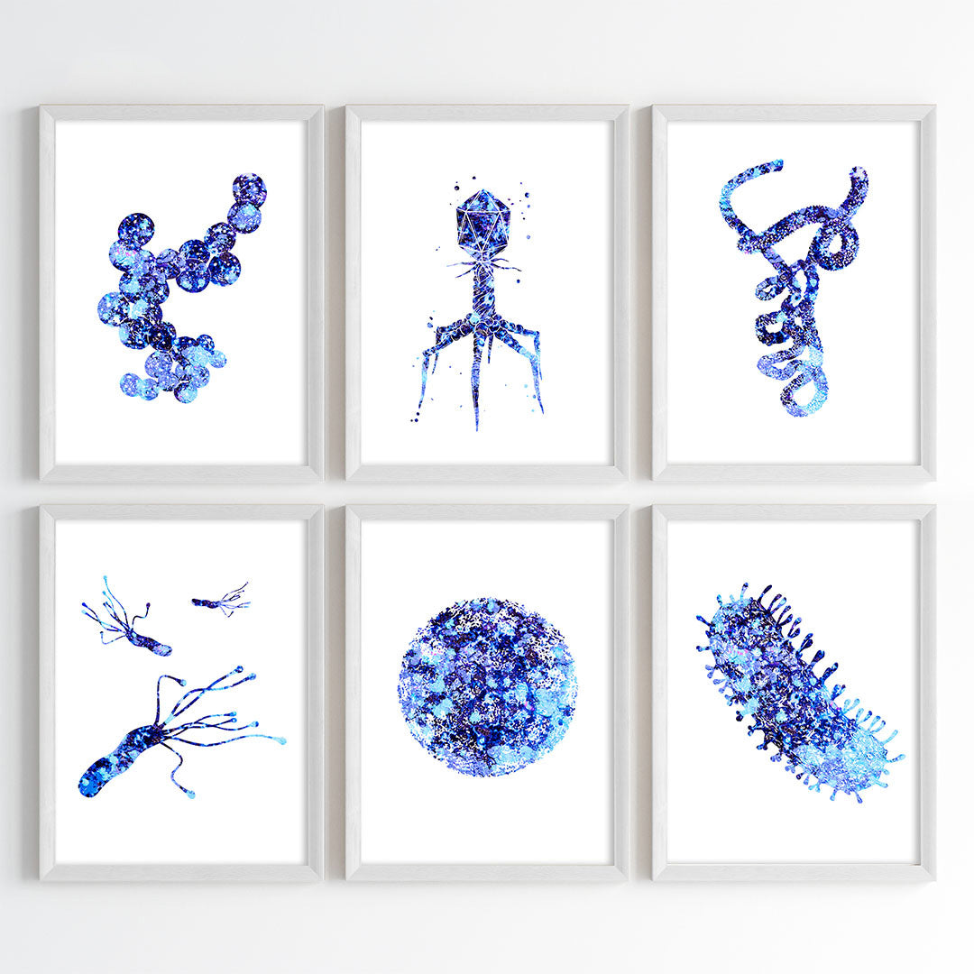 Microorganism Watercolor Science Wall Art
