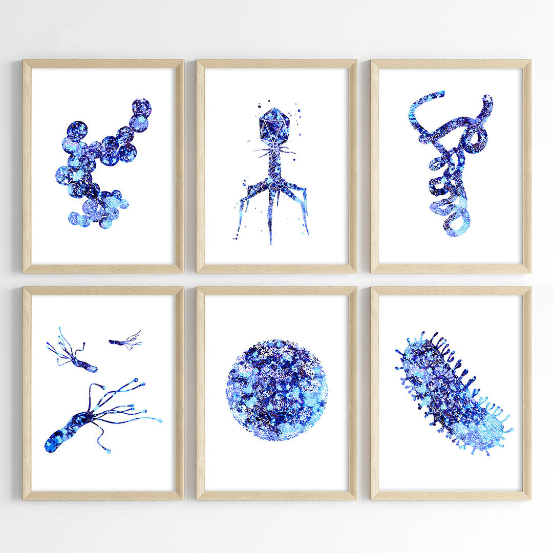 Microorganism Watercolor Science Wall Art