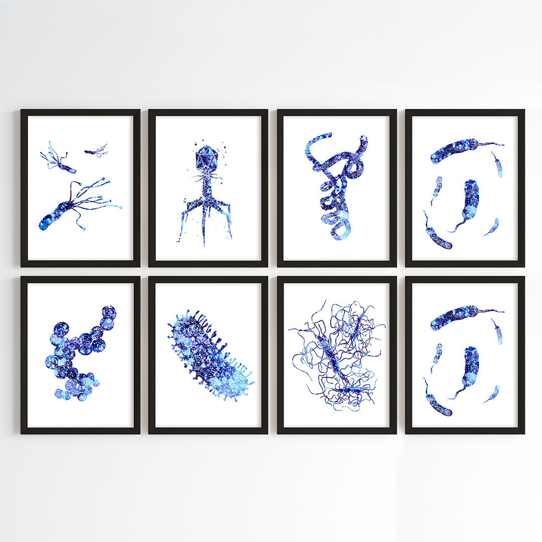 Microorganism Watercolor Science Wall Art