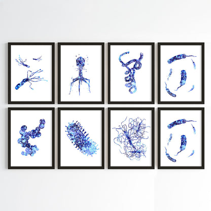 Microorganism Watercolor Science Wall Art