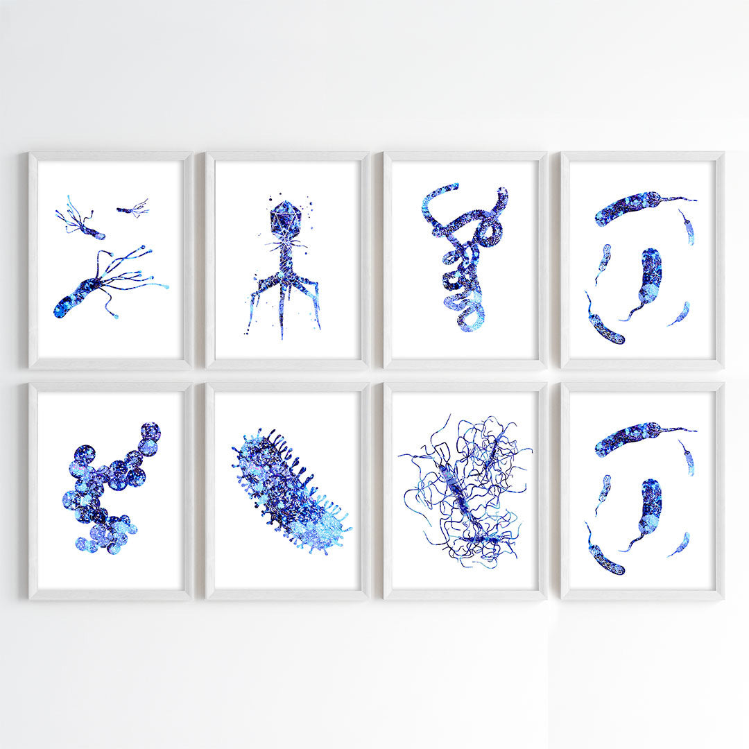 Microorganism Watercolor Science Wall Art