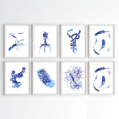 Microorganism Watercolor Science Wall Art