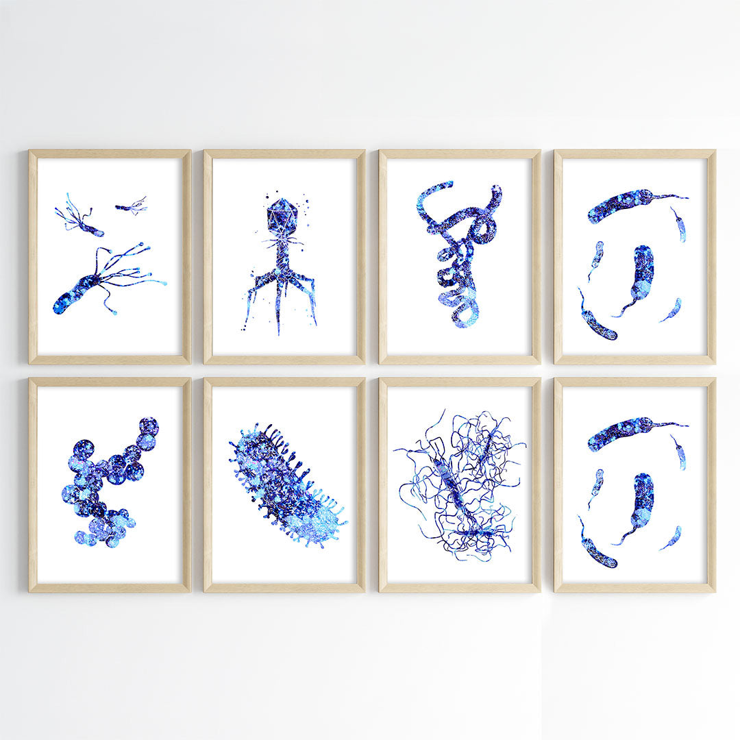 Microorganism Watercolor Science Wall Art