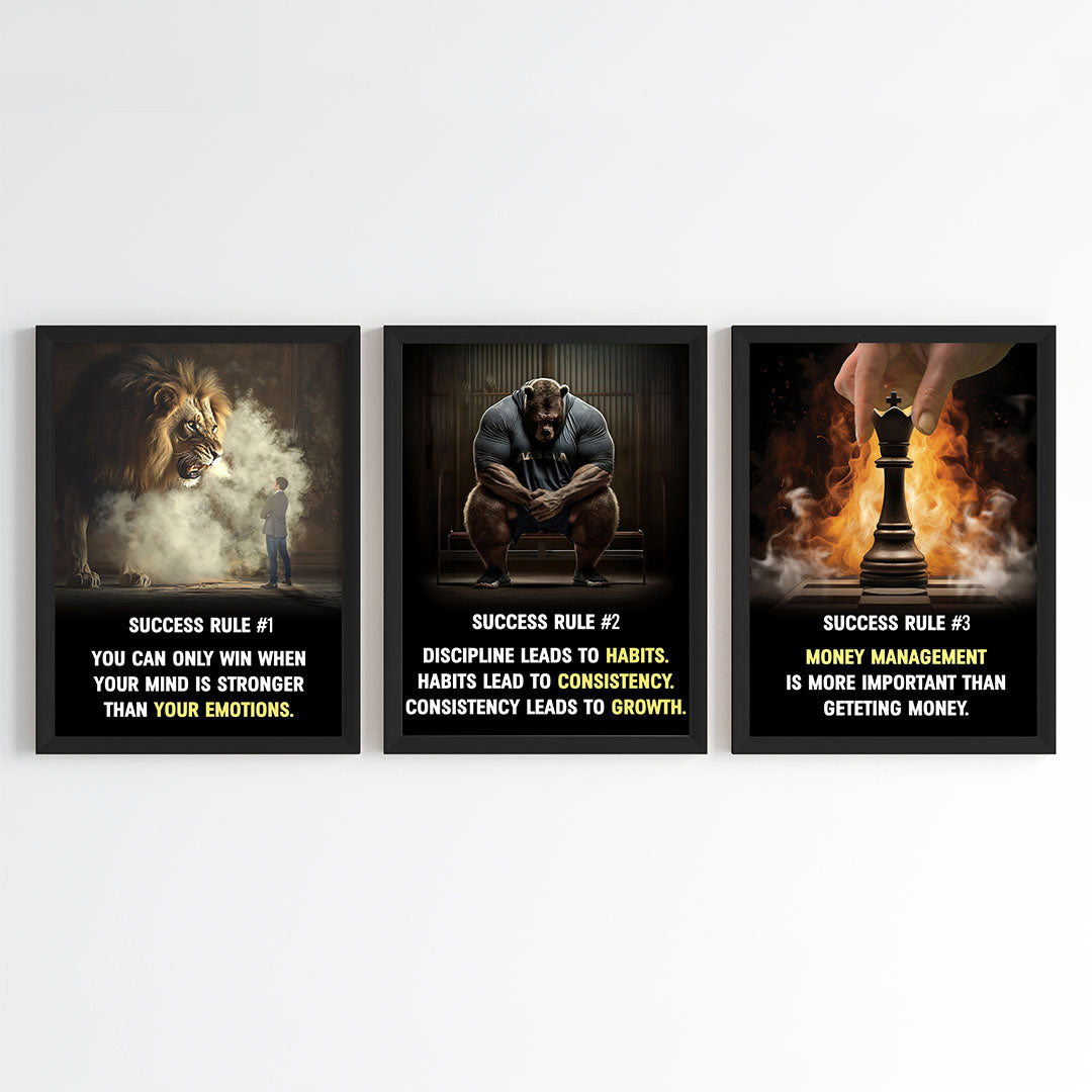 The Success Mindset Motivational Wall Art (Framed)