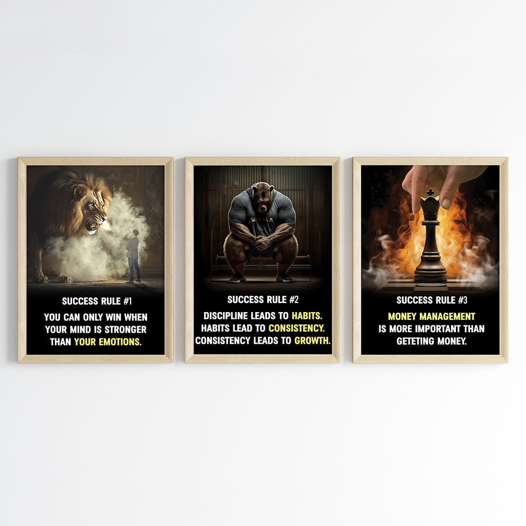 The Success Mindset Motivational Wall Art (Framed)
