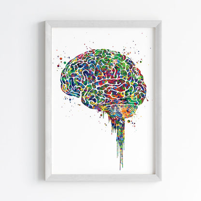 Brain Anatomy Watercolor Wall Art (Framed)