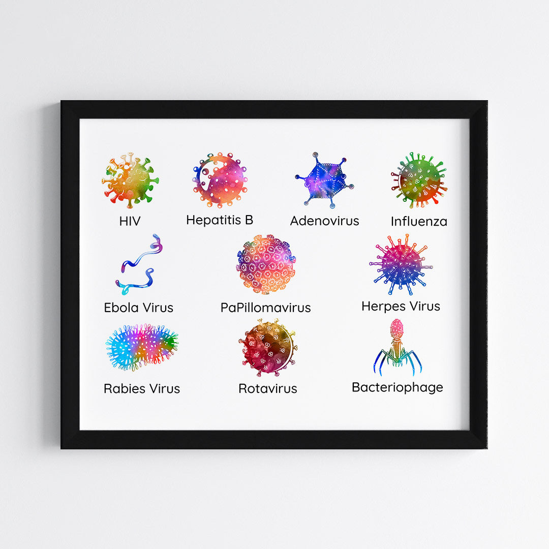 Virology Educational Watercolor Wall Art (Framed)
