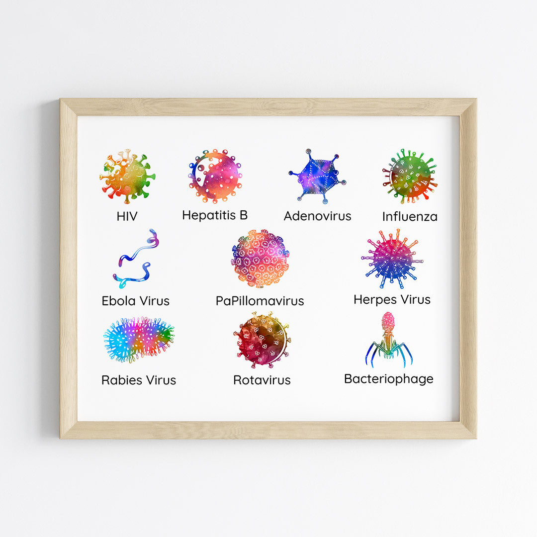 Virology Educational Watercolor Wall Art (Framed)