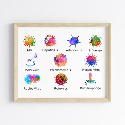 Virology Educational Watercolor Wall Art (Framed)