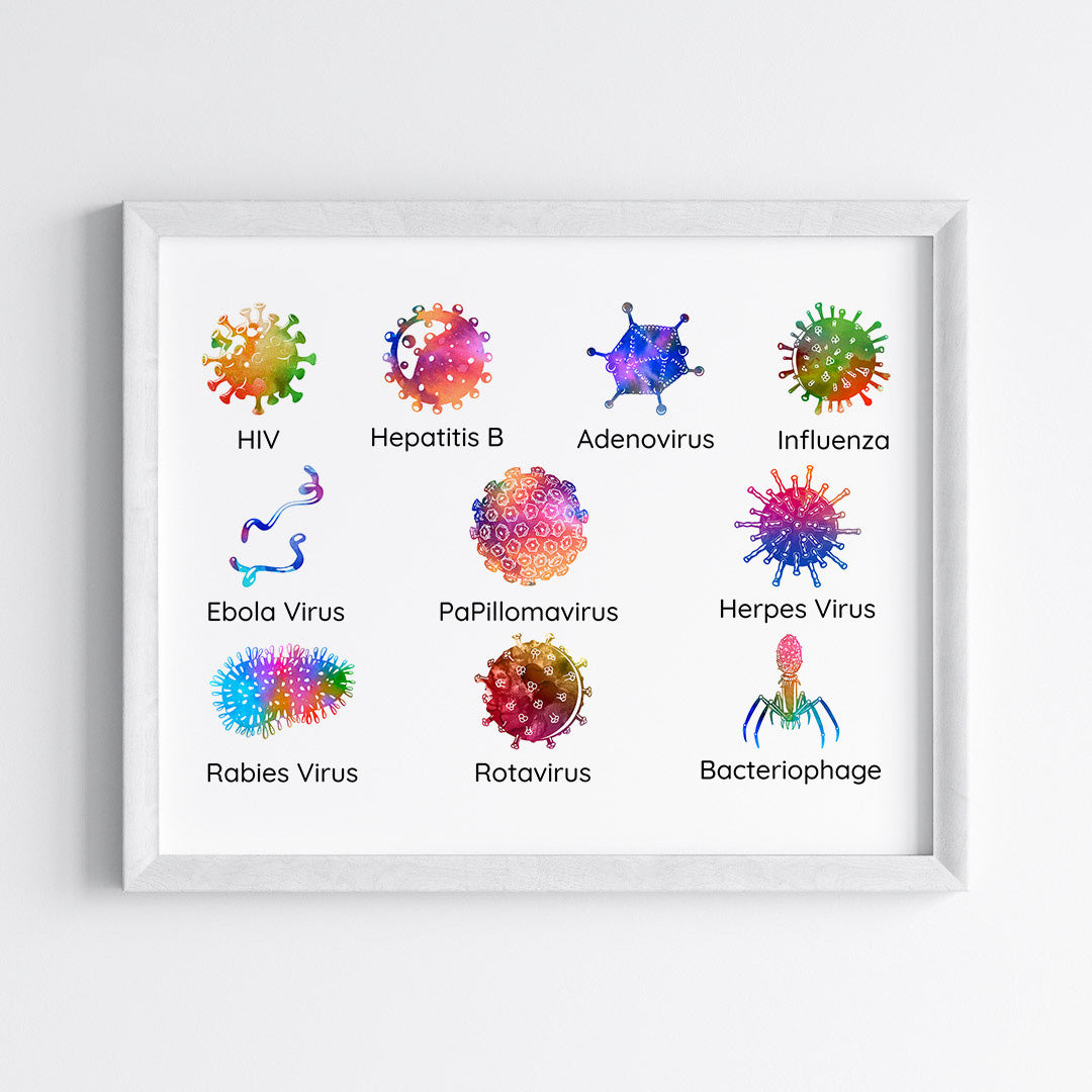 Virology Educational Watercolor Wall Art (Framed)