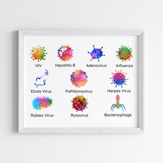 Virology Educational Watercolor Wall Art (Framed)